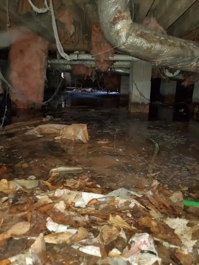 Crawl space flood assessment for Leak Detection & Repair in Lenox